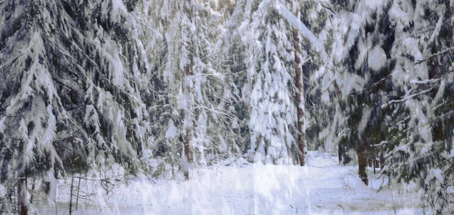 In Search of Color: February 2026