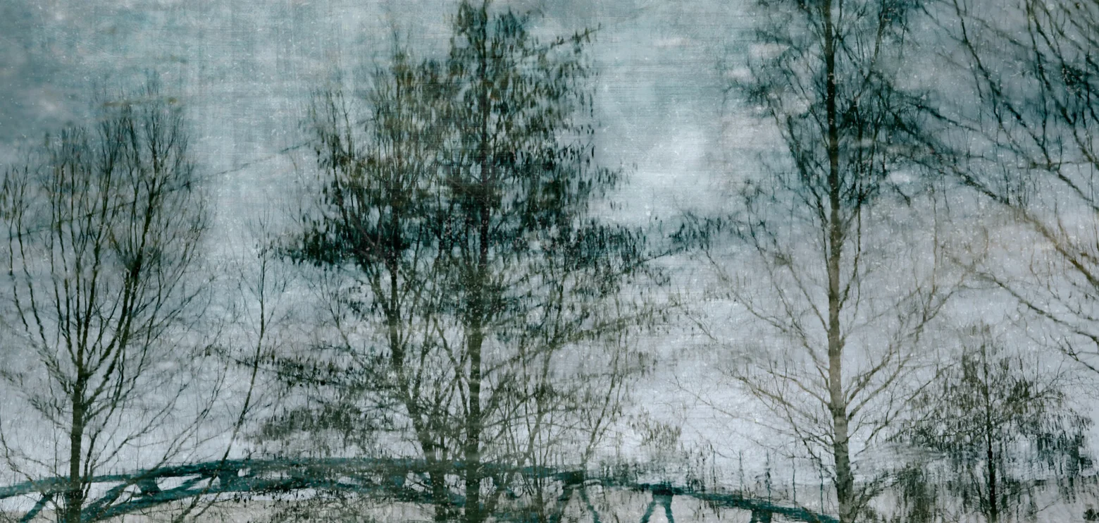 Photographic Moments of January (2025)