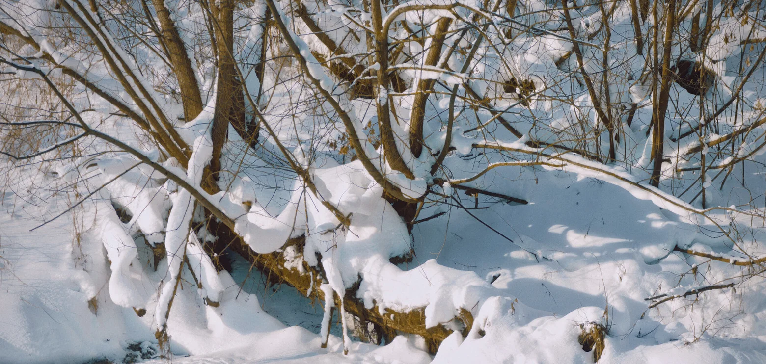 January Diary: Best Shots (2026)