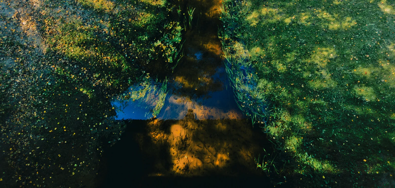 September Photo Walks (2025)