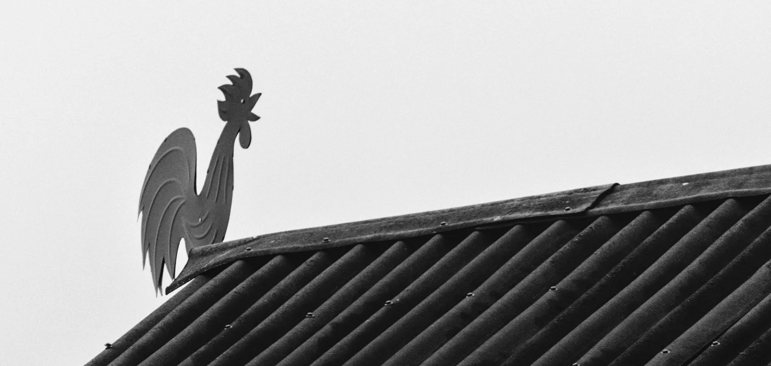 Facing the Wind: A Gallery of Weather Vanes