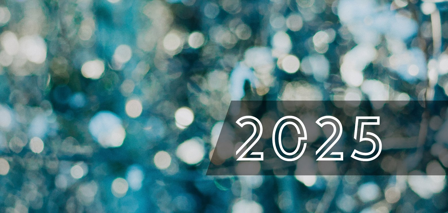 2025 Personal and Professional Year in Review