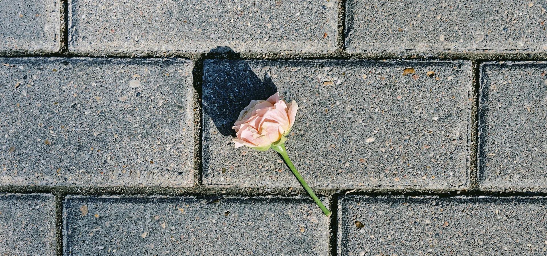 April in the Frame: The Best Moments (2025)