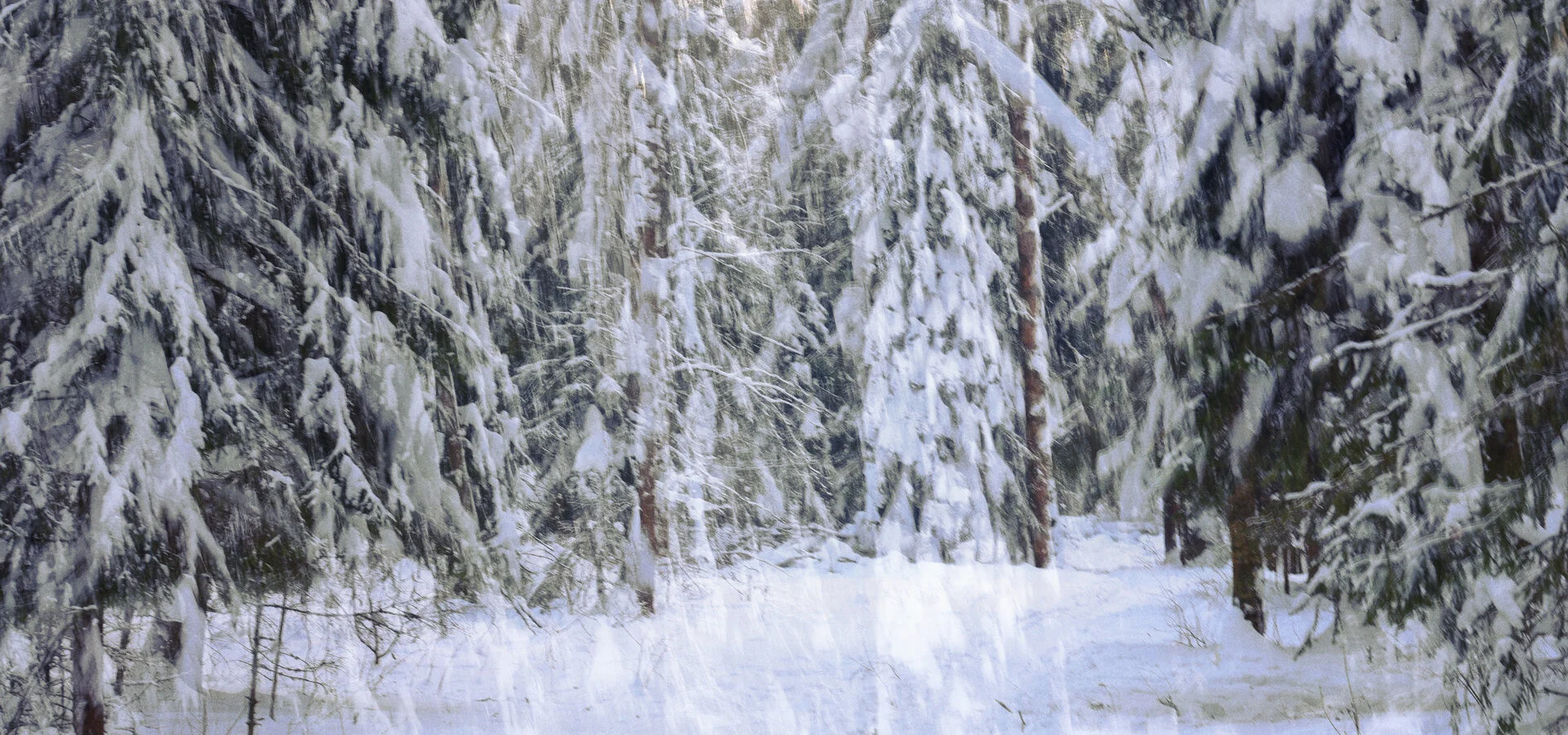 In Search of Color: February 2026