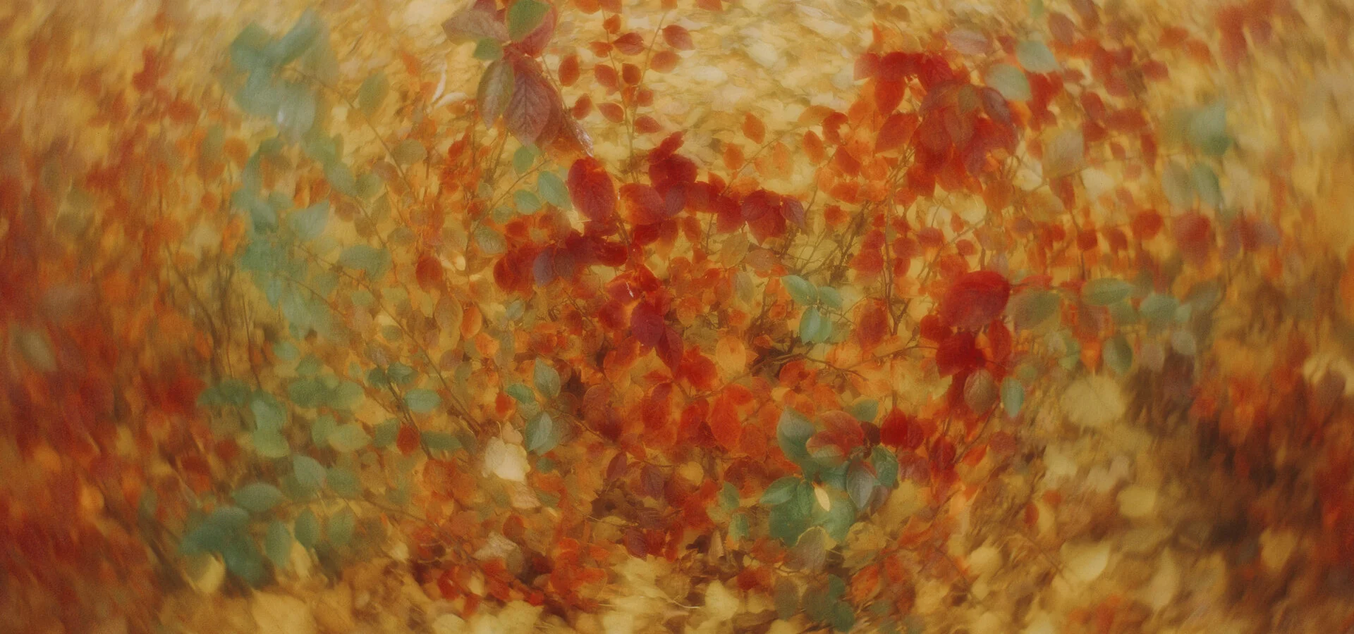 Golden Autumn (2025)