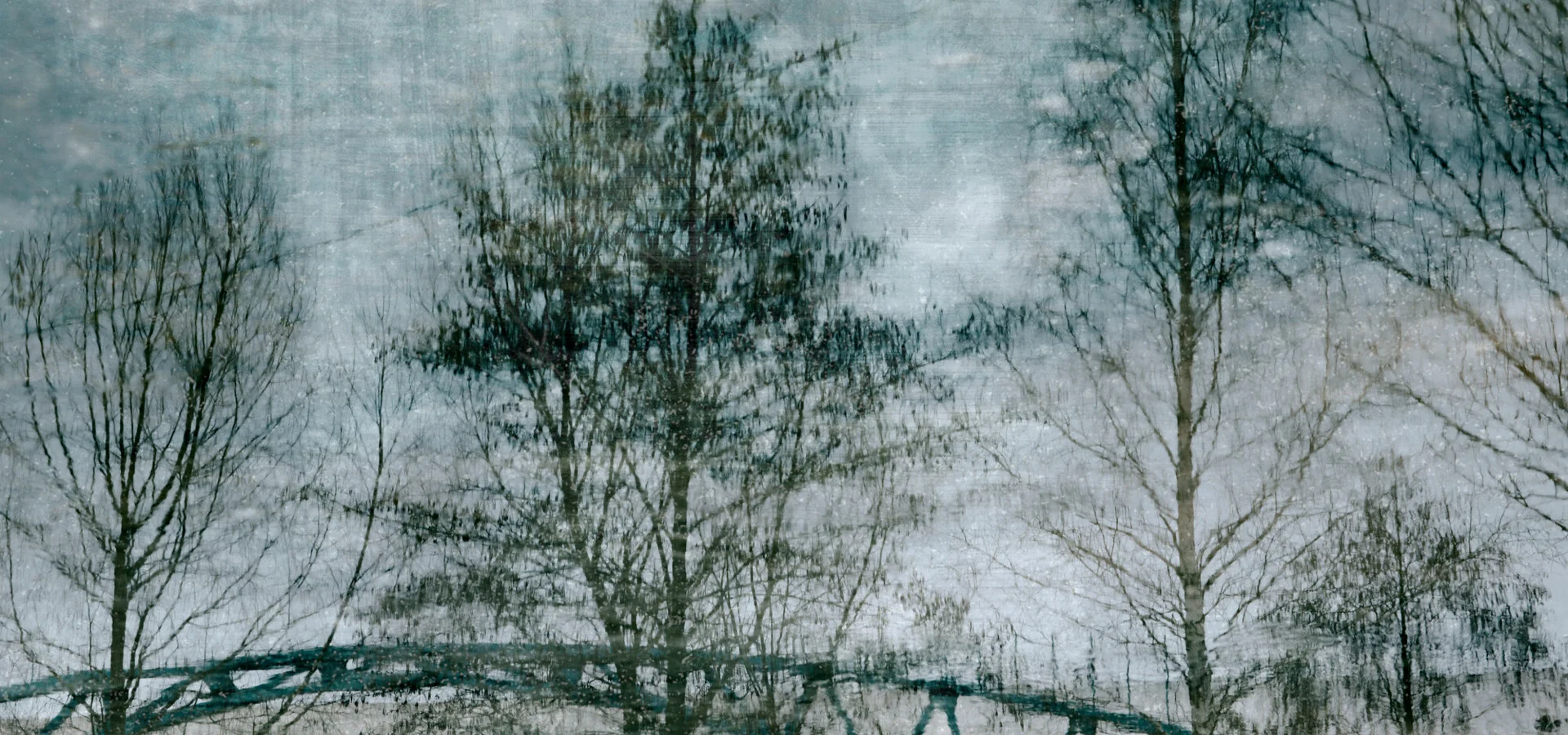 Photographic Moments of January (2025)