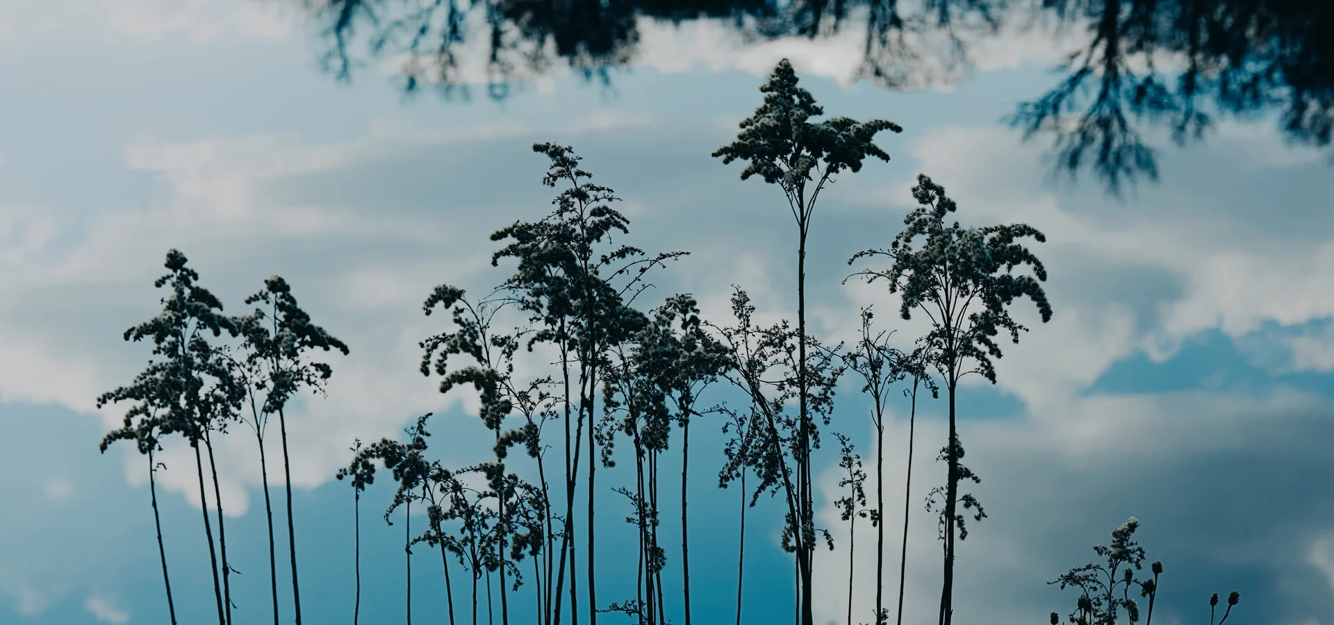 March Photo Sketches (2025)