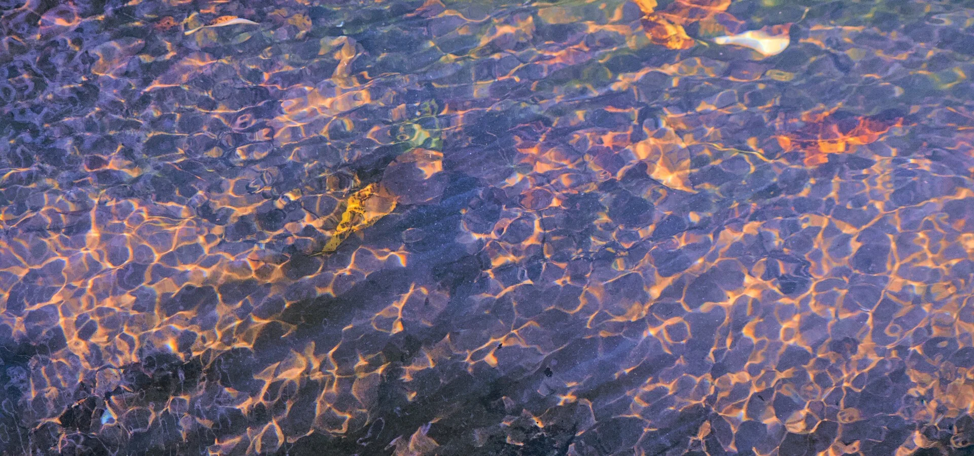 Лучшие кадры сентября (2024)