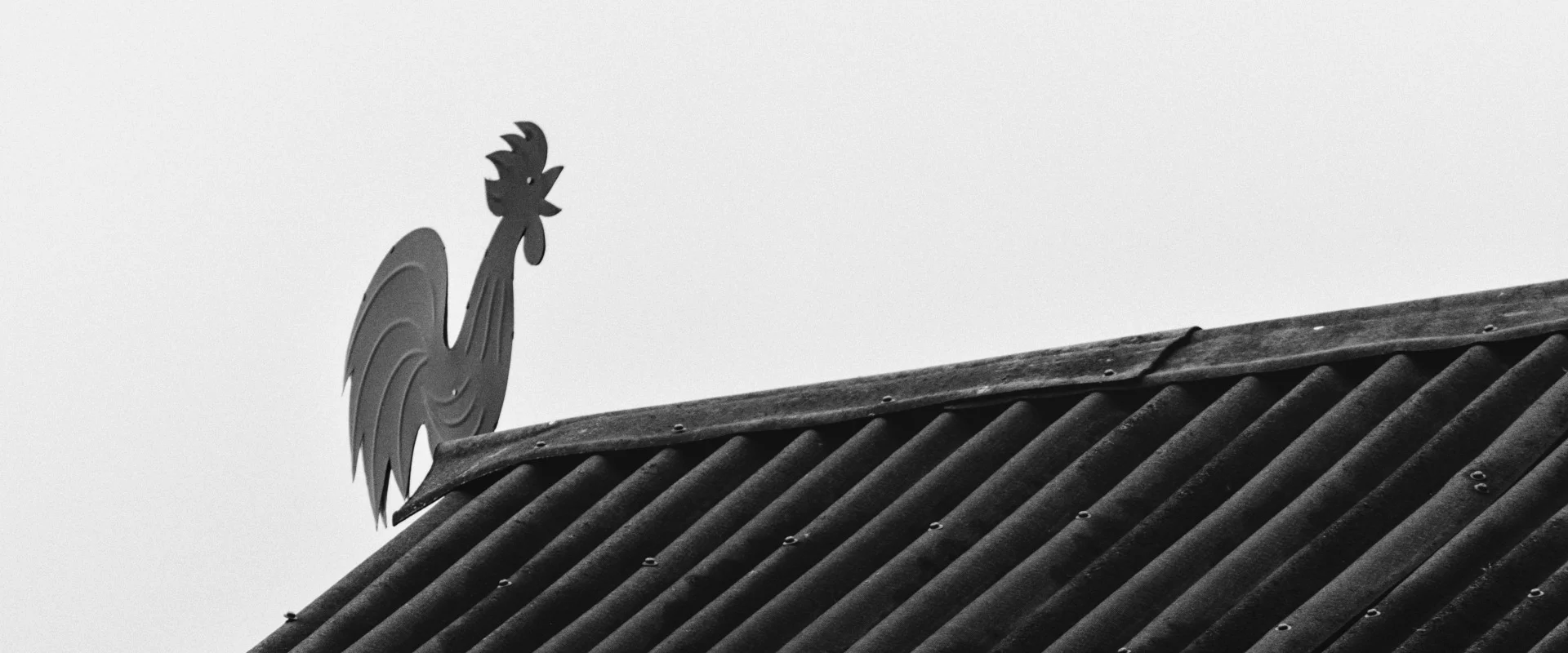 Facing the Wind: A Gallery of Weather Vanes