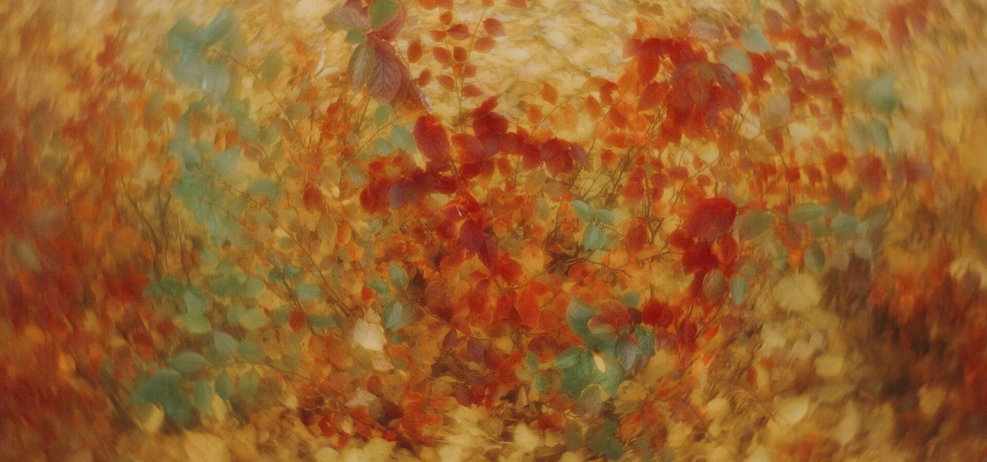 Golden Autumn (2025)