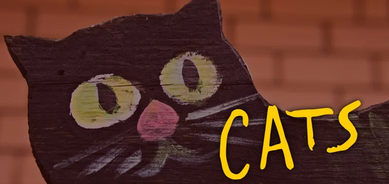 Autumn Cats
