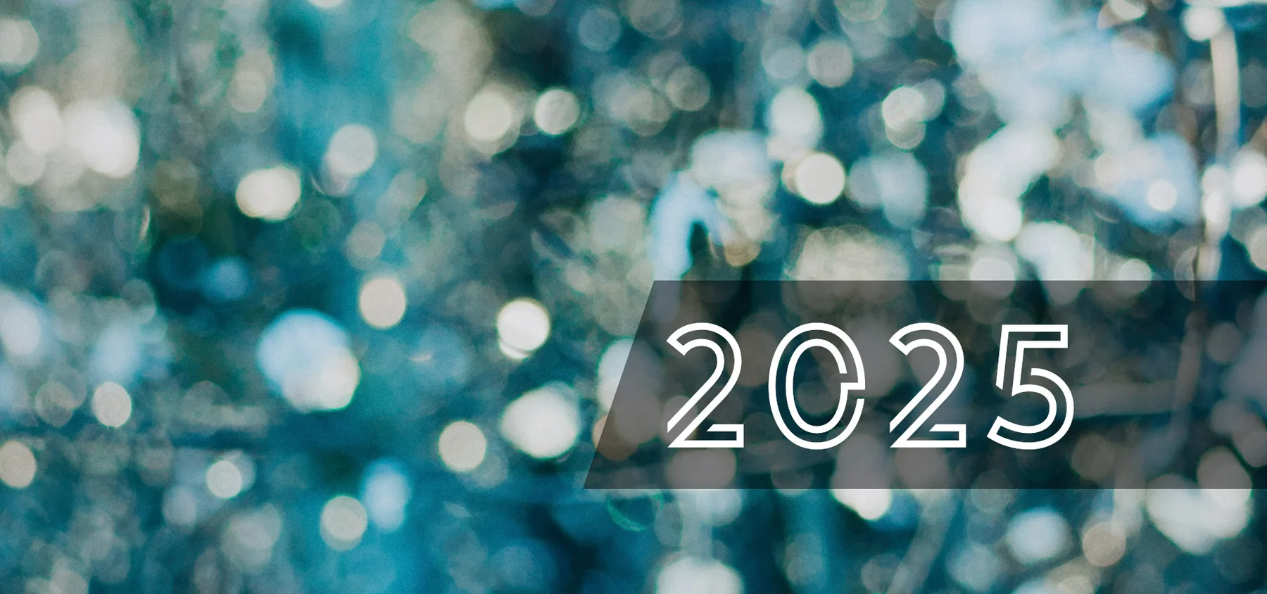 2025 Personal and Professional Year in Review