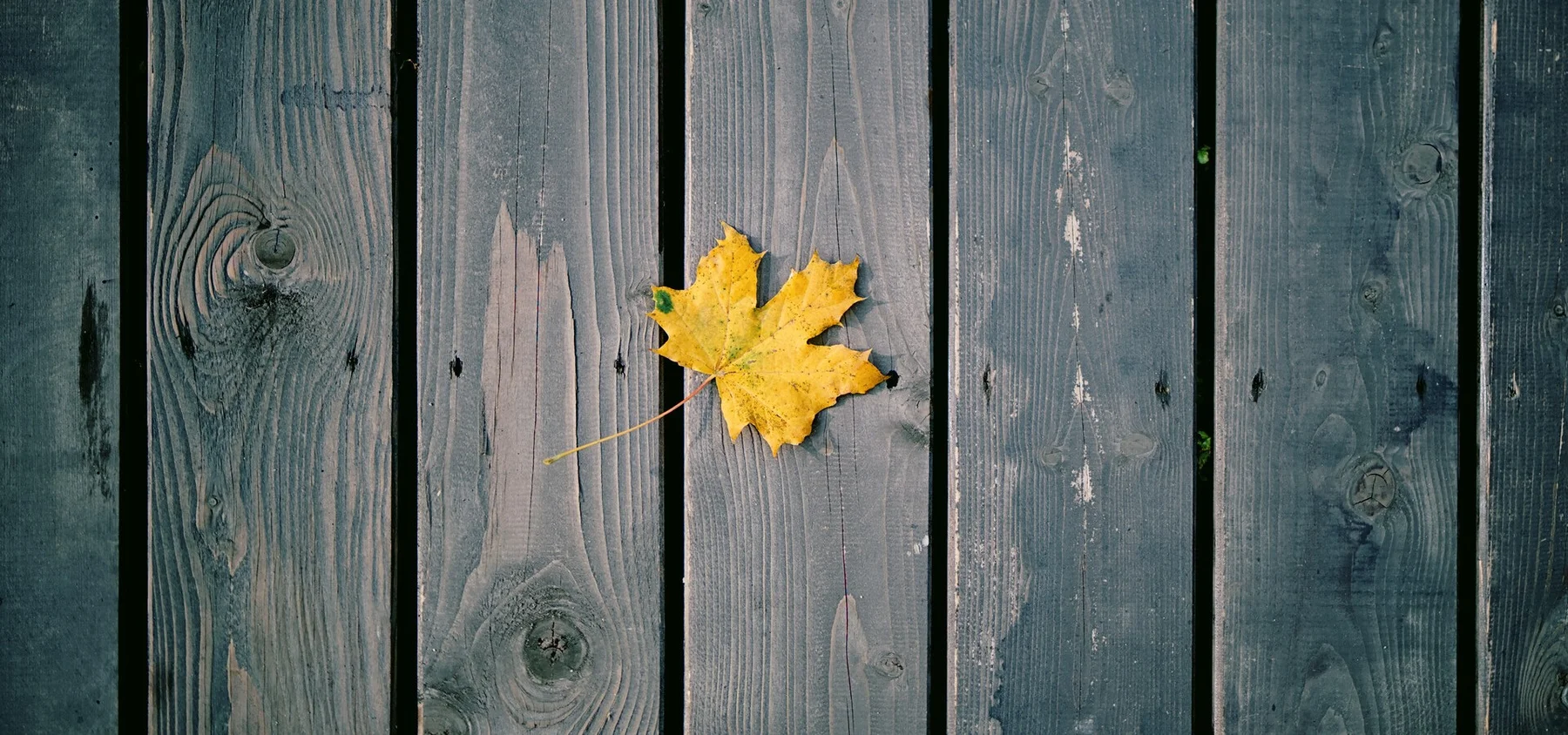 The Best Photos of October (2024)