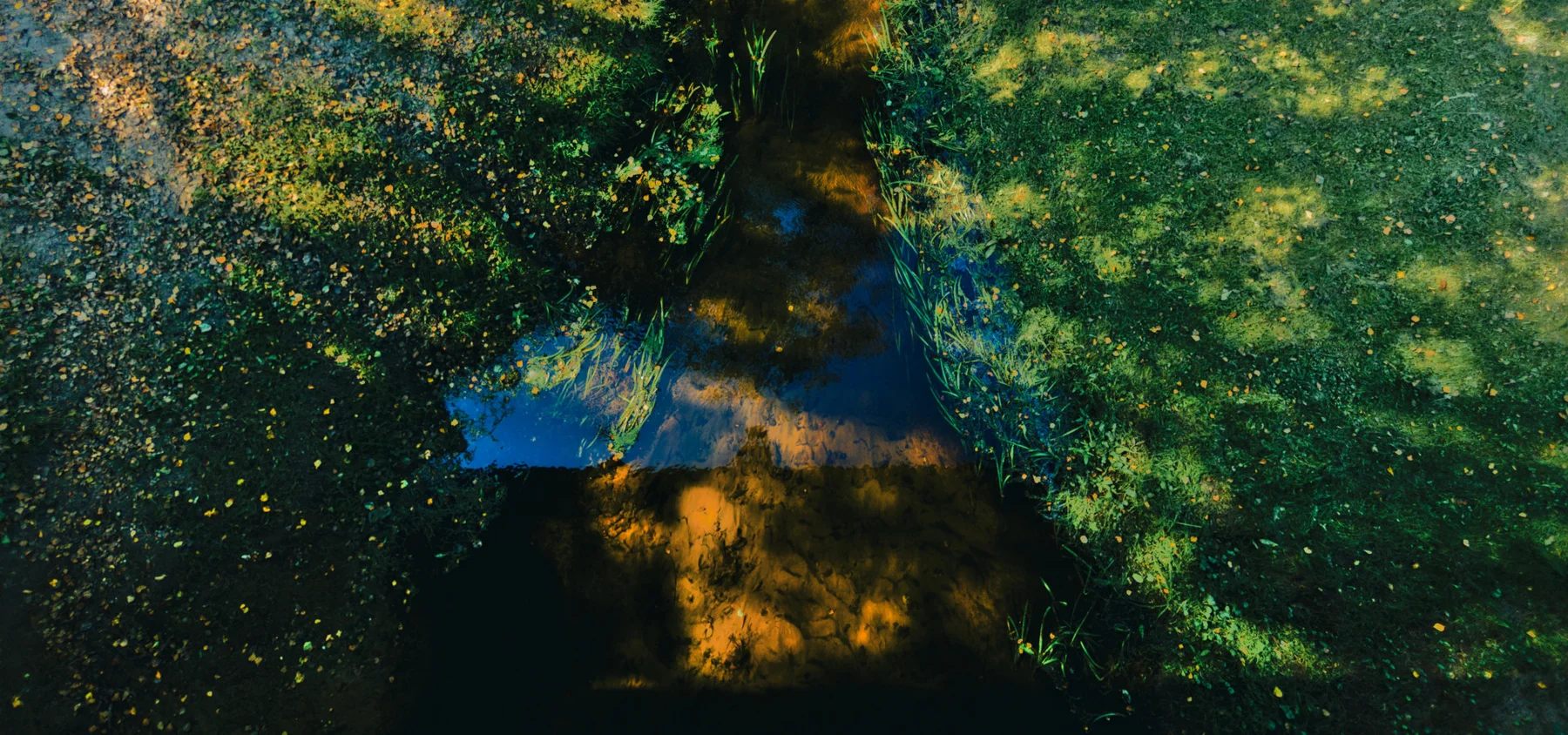 September Photo Walks (2025)