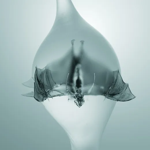 Unprocessed — Angel, cover